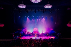 082825-japanesebreakfast-carolynwang-54