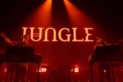 Jungle-by-Michelle-Castillo-5