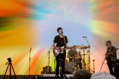 Car-Seat-Headrest-4