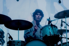 Wallows-14