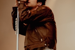Wallows-9