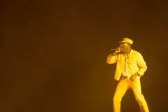 Tyler-the-Creator-by-Michelle-Castillo-@neonicreative1130