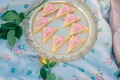 Talia-Stewart-by-Jasmine-Archie-9