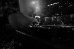 DSC02617
