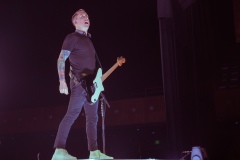 Yellowcard-by-Michelle-Castillo-17