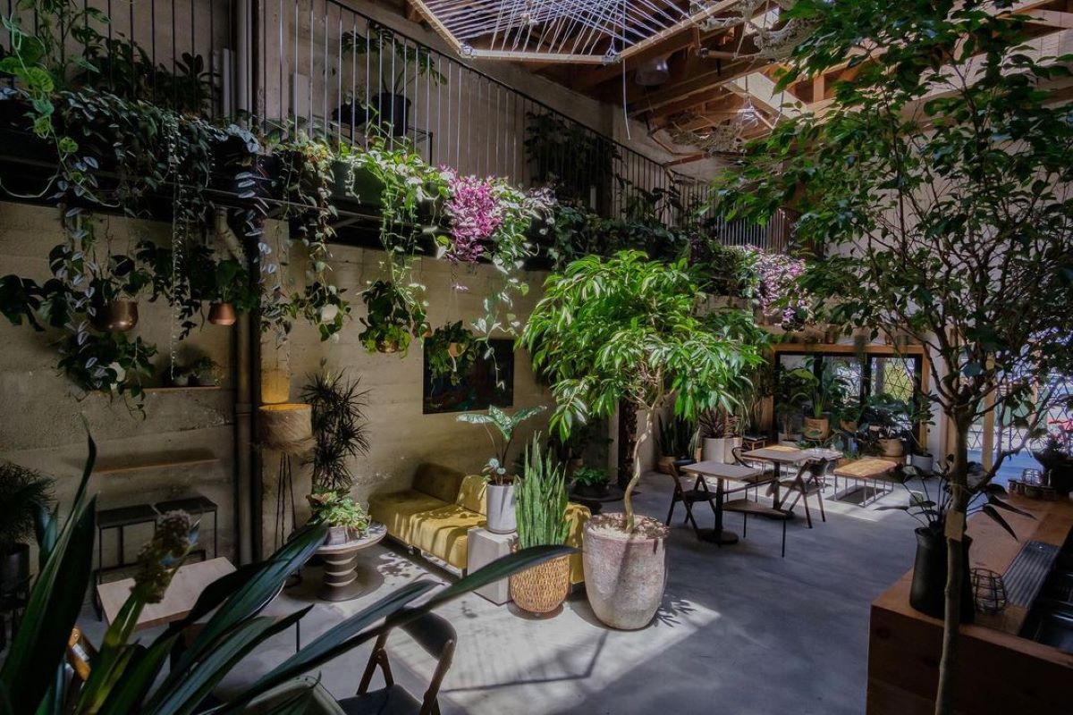 Arcana SF